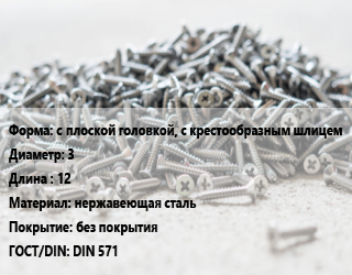 Шуруп с плоской головкой, с крестообразным шлицем 3х12 нержавеющая сталь без покрытия ГОСТ: DIN 571, шт цена от 223.56 ₼ / кг, где купить, условия доставки в Баку и Бакинская области